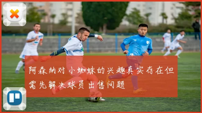 阿森纳对小蜘蛛的兴趣真实存在但需先解决球员出售问题